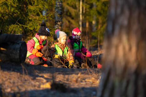 Kolme päiväkoti-ikäistä lasta istuvat vierekkäin metsässä.