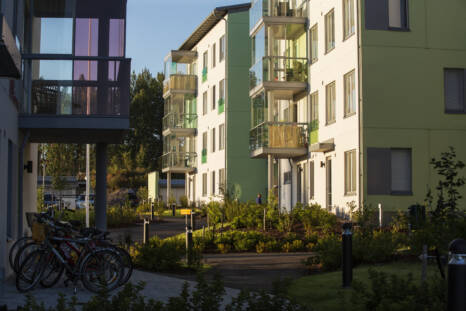 Kuvassa on kerrostaloja ja niiden välissä piha-aluetta
