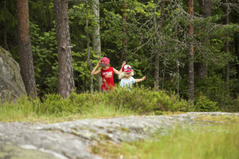 Kaksi lasta metsän reunassa