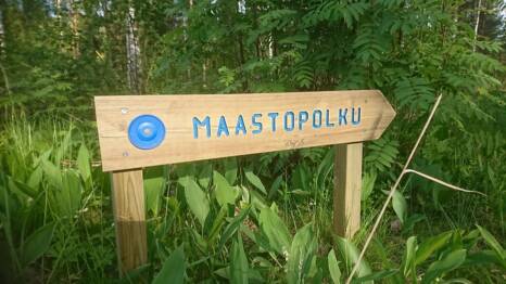 Sininen maastopolku suuntaopaste