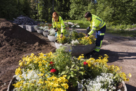 Kaksi viherpalveluiden työntekijää töiden parissa