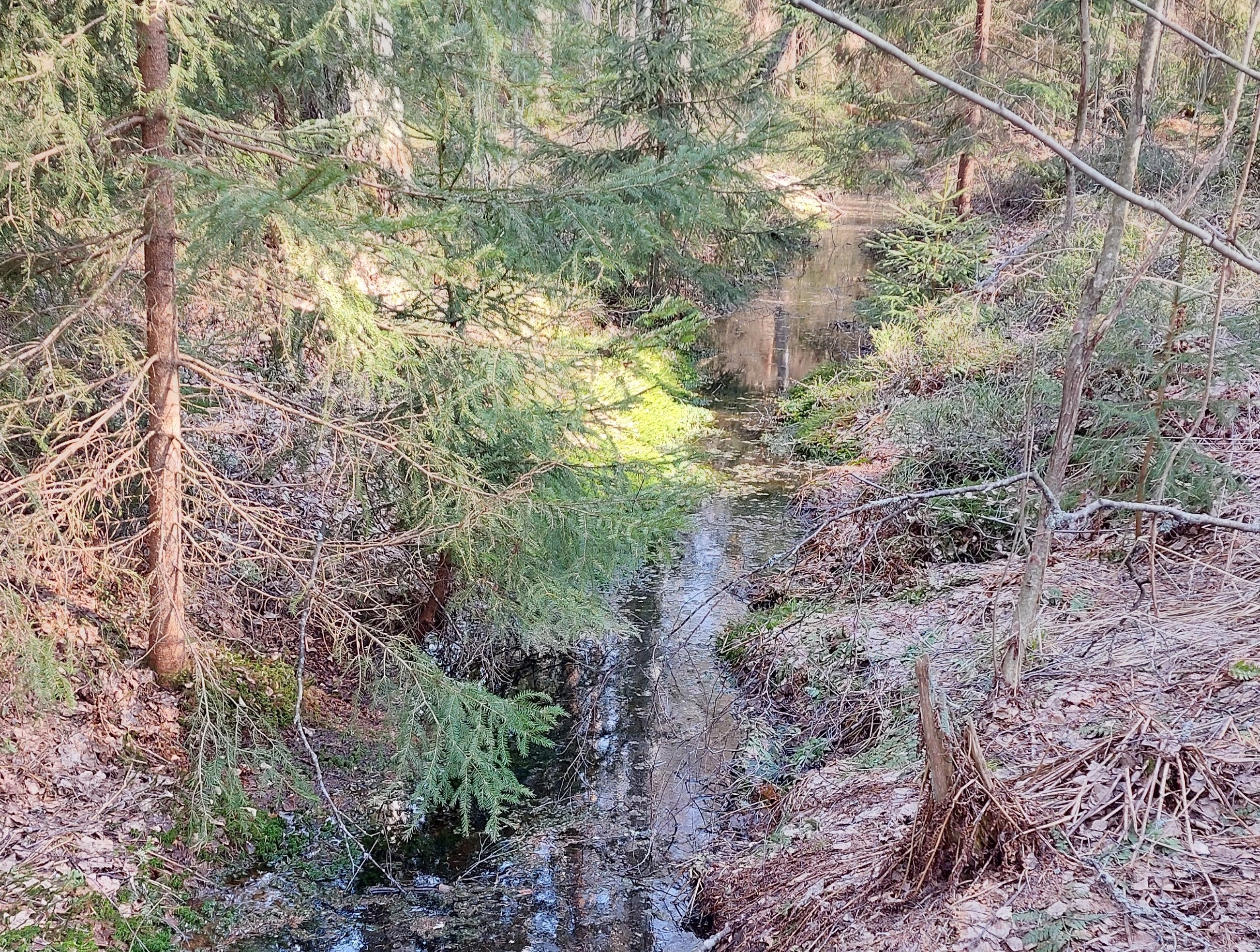 Näkymä Heinisuon luonnonsuojelualueelta