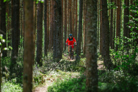 Mountain biker in Tuomalansuo