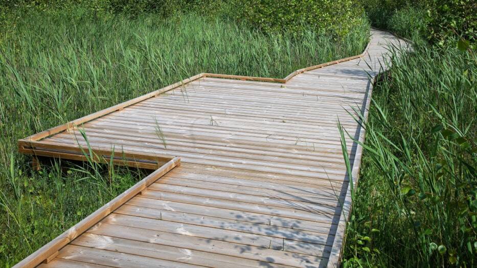 The boardwalk section of Satakielenraitti